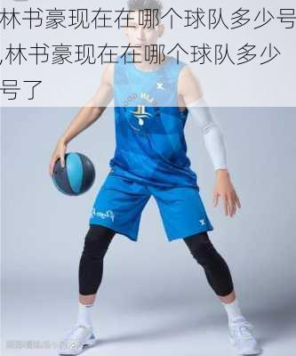 林书豪现在在哪个球队多少号,林书豪现在在哪个球队多少号了