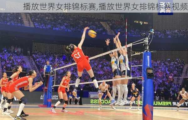 播放世界女排锦标赛,播放世界女排锦标赛视频