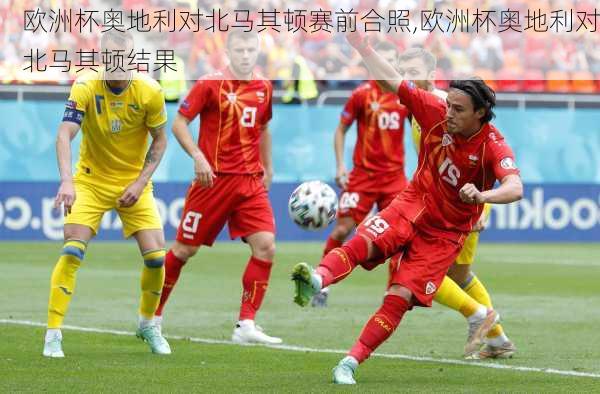 欧洲杯奥地利对北马其顿赛前合照,欧洲杯奥地利对北马其顿结果