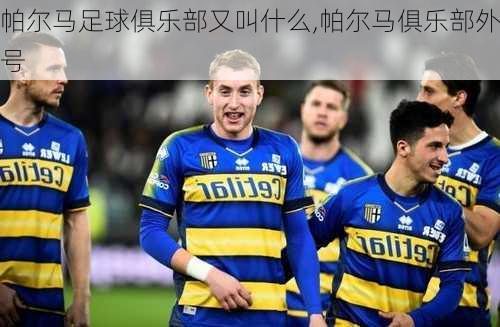 帕尔马足球俱乐部又叫什么,帕尔马俱乐部外号