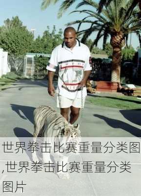 世界拳击比赛重量分类图,世界拳击比赛重量分类图片