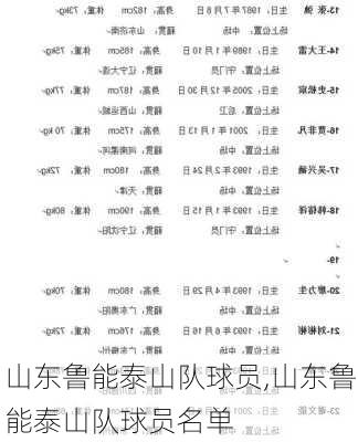 山东鲁能泰山队球员,山东鲁能泰山队球员名单