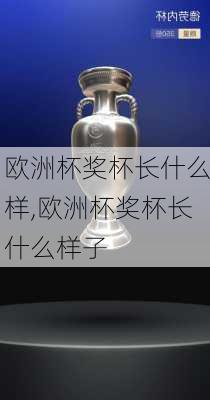 欧洲杯奖杯长什么样,欧洲杯奖杯长什么样子