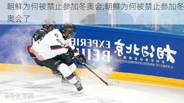 朝鲜为何被禁止参加冬奥会,朝鲜为何被禁止参加冬奥会了