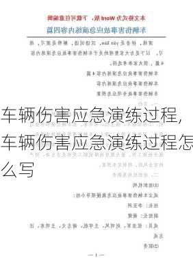 车辆伤害应急演练过程,车辆伤害应急演练过程怎么写
