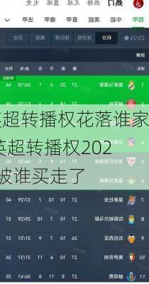 英超转播权花落谁家,英超转播权2021被谁买走了
