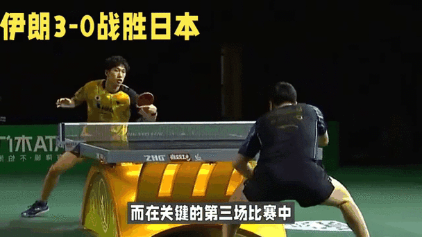 伊朗vs日本打架,伊朗vs日本打架视频