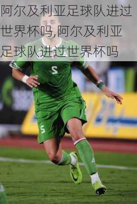 阿尔及利亚足球队进过世界杯吗,阿尔及利亚足球队进过世界杯吗