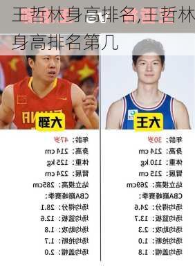 王哲林身高排名,王哲林身高排名第几