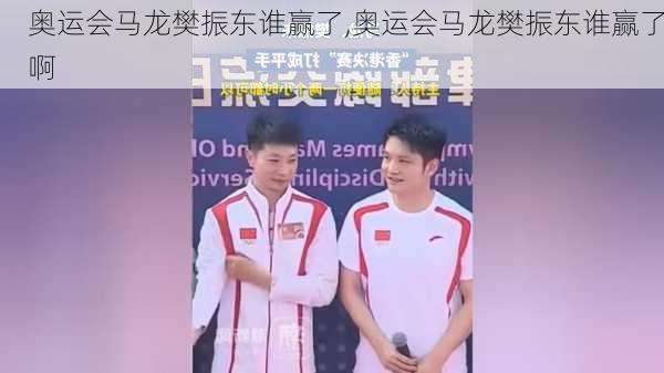 奥运会马龙樊振东谁赢了,奥运会马龙樊振东谁赢了啊