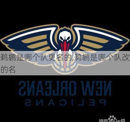 鹈鹕是哪个队更名的,鹈鹕是哪个队改的名