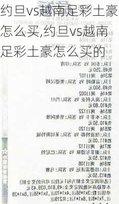 约旦vs越南足彩土豪怎么买,约旦vs越南足彩土豪怎么买的