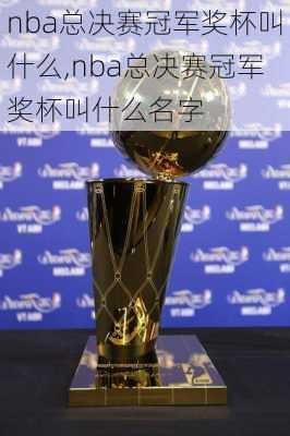 nba总决赛冠军奖杯叫什么,nba总决赛冠军奖杯叫什么名字