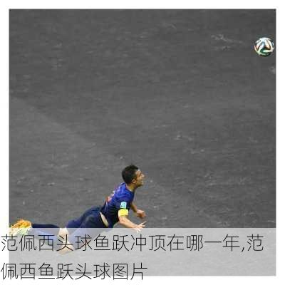 范佩西头球鱼跃冲顶在哪一年,范佩西鱼跃头球图片
