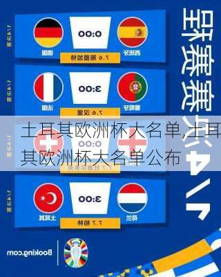 土耳其欧洲杯大名单,土耳其欧洲杯大名单公布