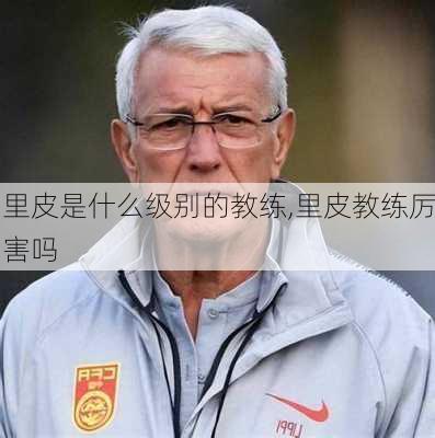 里皮是什么级别的教练,里皮教练厉害吗