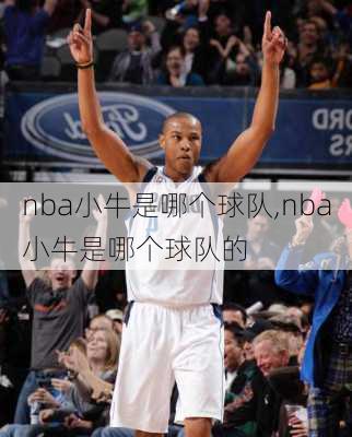 nba小牛是哪个球队,nba小牛是哪个球队的