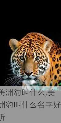 美洲豹叫什么,美洲豹叫什么名字好听