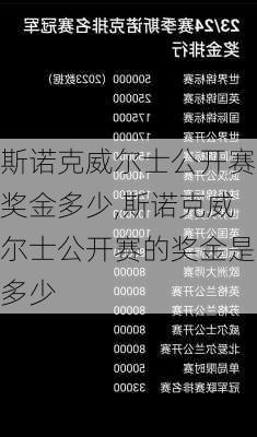 斯诺克威尔士公开赛奖金多少,斯诺克威尔士公开赛的奖金是多少