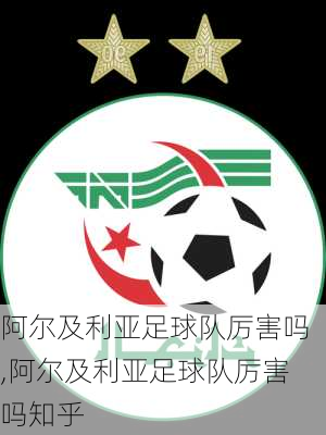 阿尔及利亚足球队厉害吗,阿尔及利亚足球队厉害吗知乎