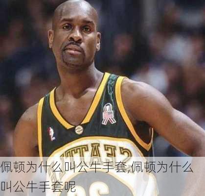 佩顿为什么叫公牛手套,佩顿为什么叫公牛手套呢