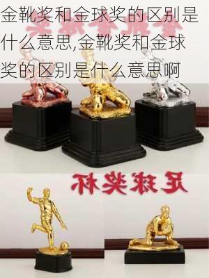 金靴奖和金球奖的区别是什么意思,金靴奖和金球奖的区别是什么意思啊