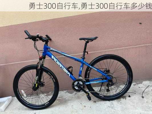 勇士300自行车,勇士300自行车多少钱