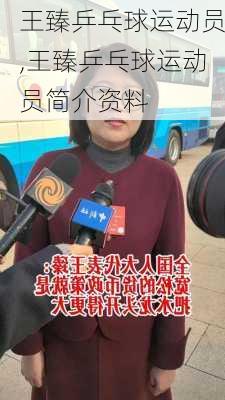 王臻乒乓球运动员,王臻乒乓球运动员简介资料