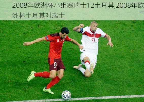 2008年欧洲杯小组赛瑞士12土耳其,2008年欧洲杯土耳其对瑞士