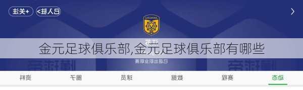金元足球俱乐部,金元足球俱乐部有哪些