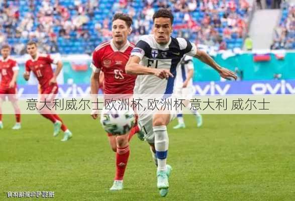 意大利威尔士欧洲杯,欧洲杯 意大利 威尔士