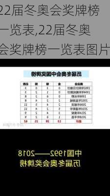 22届冬奥会奖牌榜一览表,22届冬奥会奖牌榜一览表图片