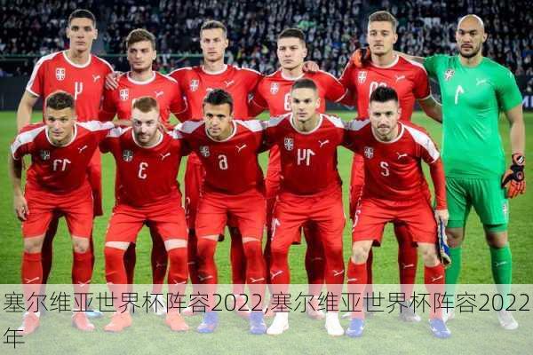 塞尔维亚世界杯阵容2022,塞尔维亚世界杯阵容2022年