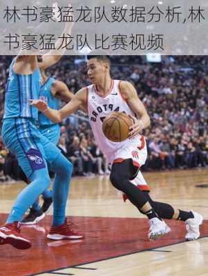 林书豪猛龙队数据分析,林书豪猛龙队比赛视频
