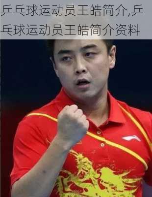 乒乓球运动员王皓简介,乒乓球运动员王皓简介资料