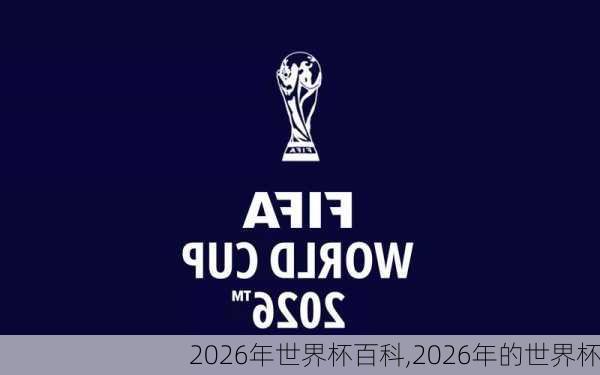 2026年世界杯百科,2026年的世界杯