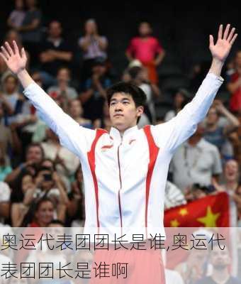 奥运代表团团长是谁,奥运代表团团长是谁啊
