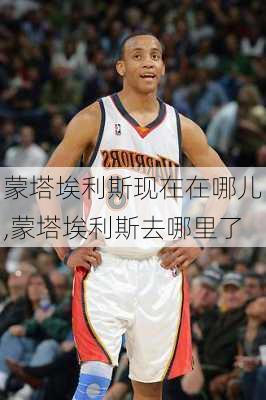 蒙塔埃利斯现在在哪儿,蒙塔埃利斯去哪里了