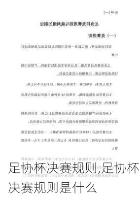 足协杯决赛规则,足协杯决赛规则是什么