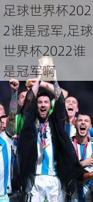 足球世界杯2022谁是冠军,足球世界杯2022谁是冠军啊