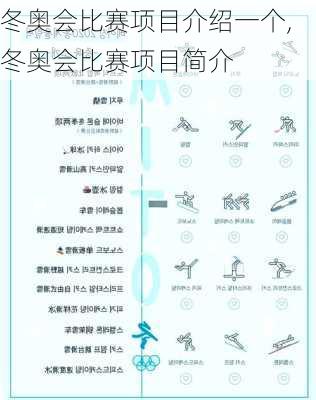 冬奥会比赛项目介绍一个,冬奥会比赛项目简介