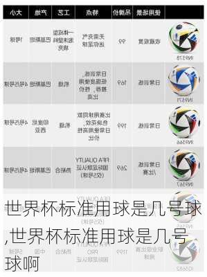 世界杯标准用球是几号球,世界杯标准用球是几号球啊