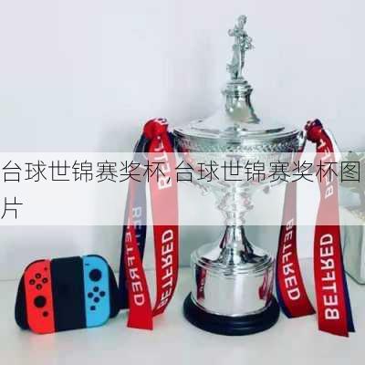 台球世锦赛奖杯,台球世锦赛奖杯图片