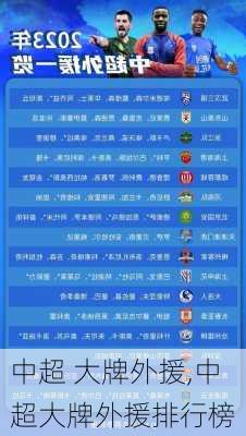 中超 大牌外援,中超大牌外援排行榜