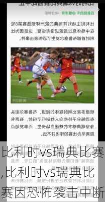 比利时vs瑞典比赛,比利时vs瑞典比赛因恐怖袭击中断