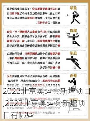 2022北京奥运会新增项目,2022北京奥运会新增项目有哪些