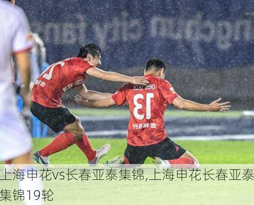 上海申花vs长春亚泰集锦,上海申花长春亚泰集锦19轮