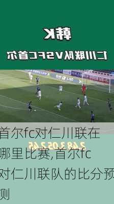 首尔fc对仁川联在哪里比赛,首尔fc对仁川联队的比分预测