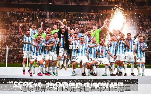 足球世界杯2015,足球世界杯2015冠军