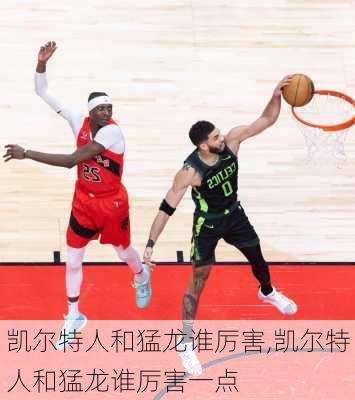 凯尔特人和猛龙谁厉害,凯尔特人和猛龙谁厉害一点